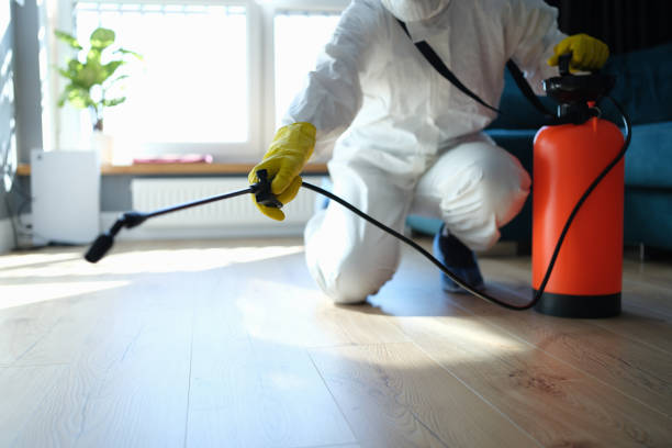 Reliable Odor Removal contractor in Wentzville, MO by Trauma Clean Pros